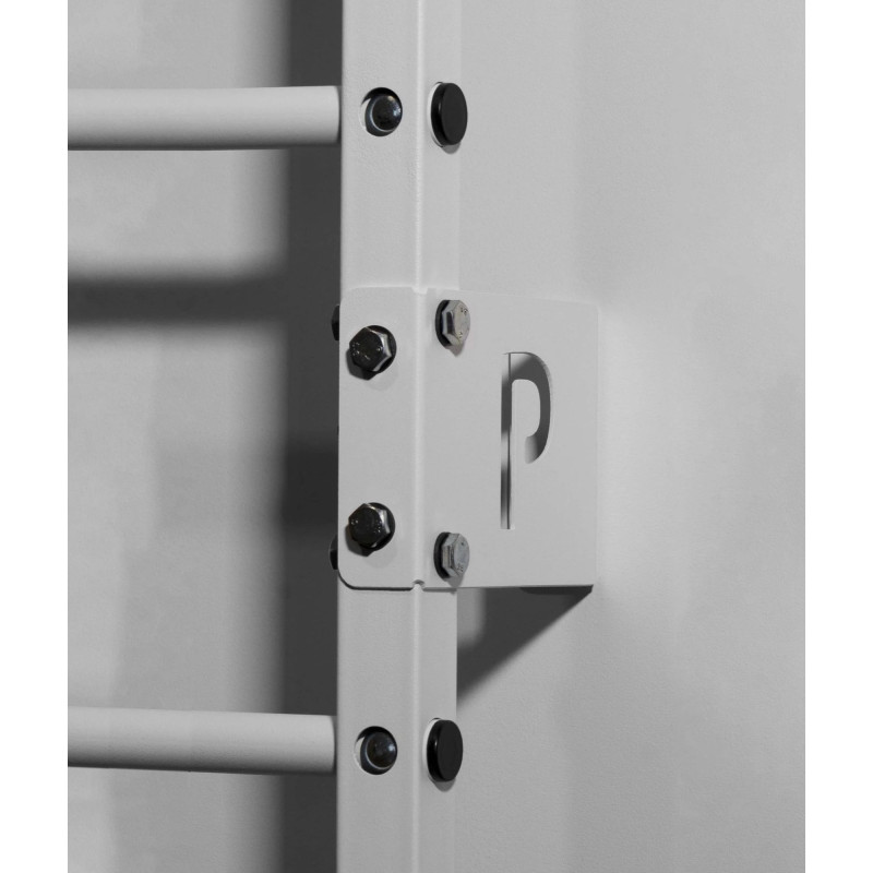 ¿Busca material deportivo para su hogar? Escalera metálica de entrenamiento